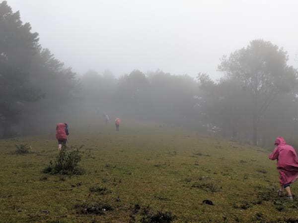 Bidoup Núi Bà National Park 2