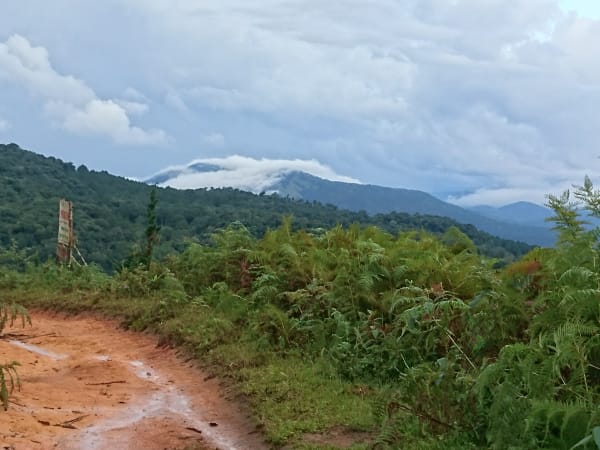 Bidoup Núi Bà National Park 1