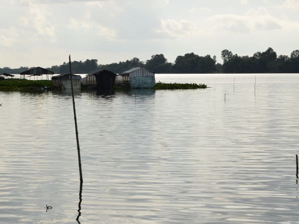 Búng Bình Thiên Lake 8