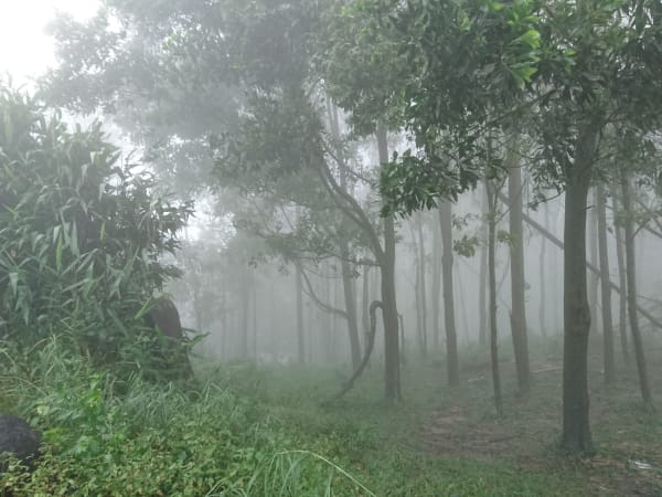 Núi Chứa Chan (Chứa Chan Mountain) 8