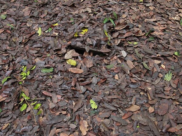 Cu Chi Tunnels 7