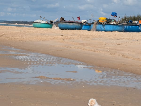 Cù Mi Beach 4