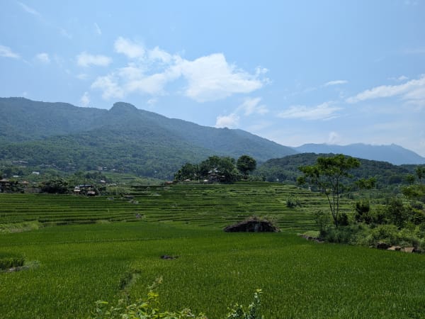 Don Village 5