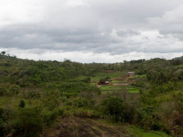 Elephant Mountain 4