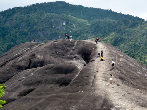 Elephant Mountain 2