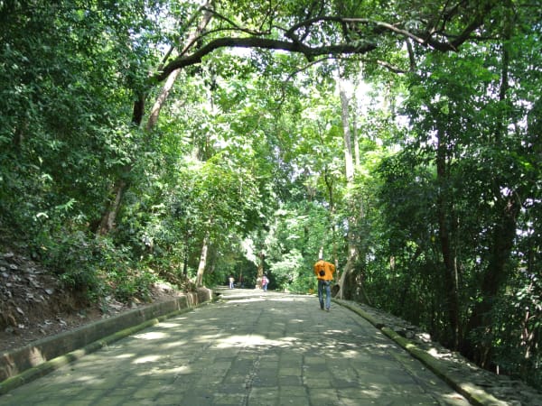 Hùng Temple (Đền Hùng) 4