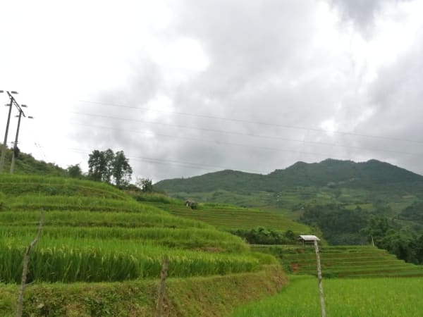Khau Phạ Pass 6