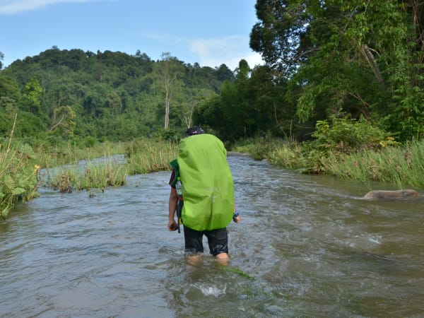 La Ngâu Stream 6