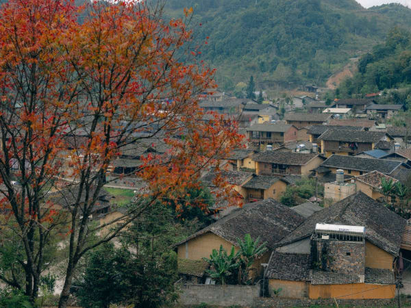 Lô Lô Chải Village 1