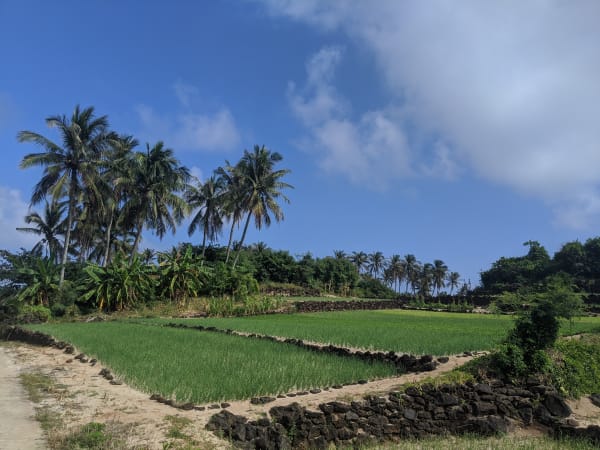 Đảo Bé (An Bình Island) 5