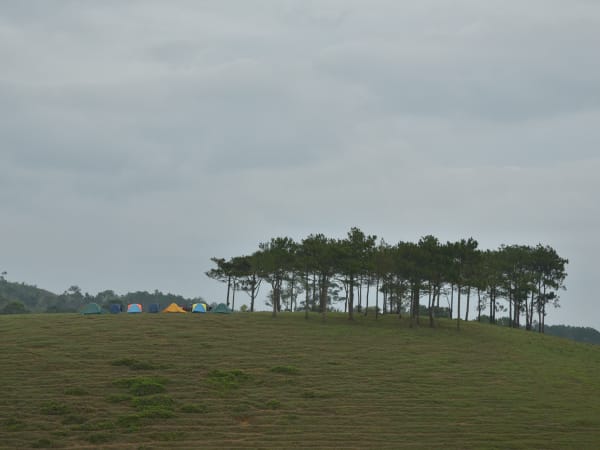 Masara Hill 9