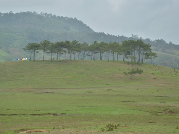 Masara Hill 7