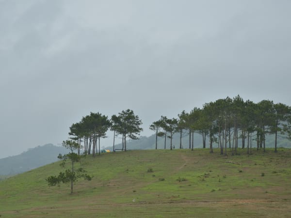 Masara Hill 1