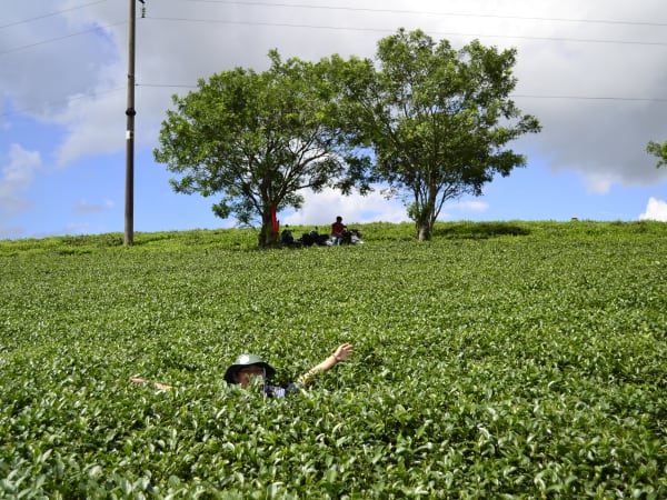 Moc Chau Tea Hills 3