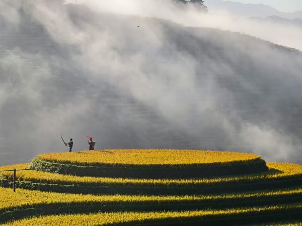 Muong Hoa Valley 2