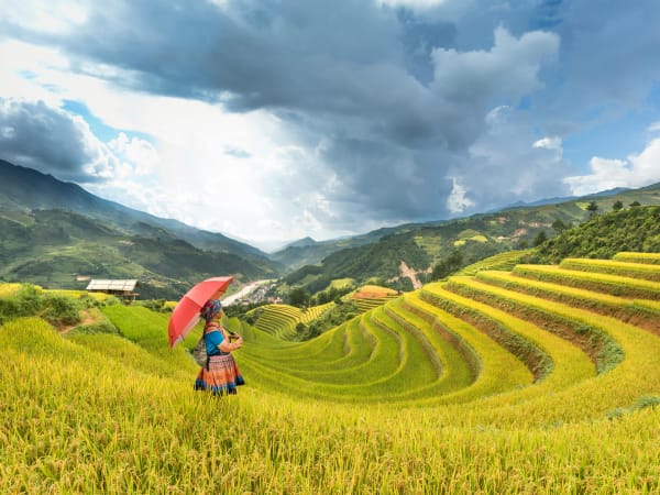 Muong Hoa Valley 3