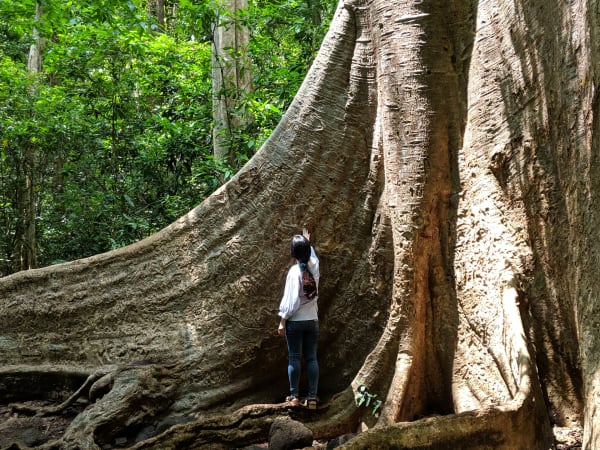Cát Tiên National Park 7