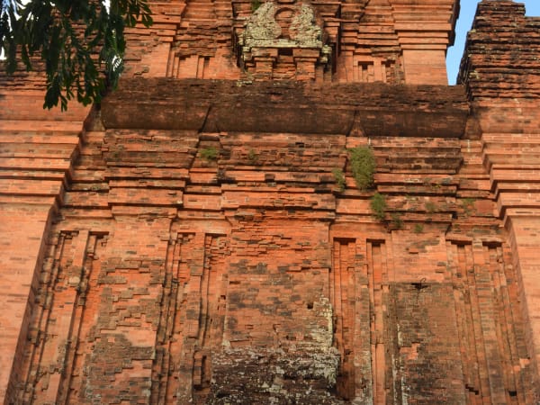 Tháp Nhạn 6