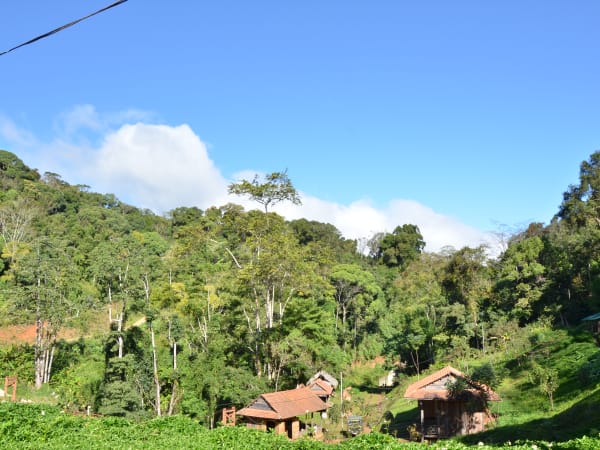 Pa Sy Waterfall 5