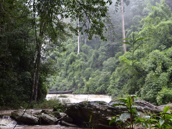 Phi Liêng Waterfall 1