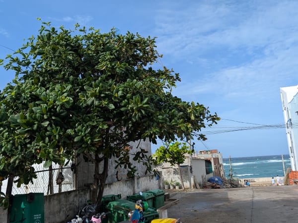 Phú Quý Island 9