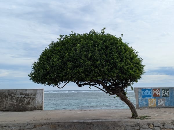Phú Quý Island 4