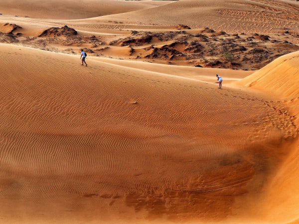 Red Sand Dunes 1