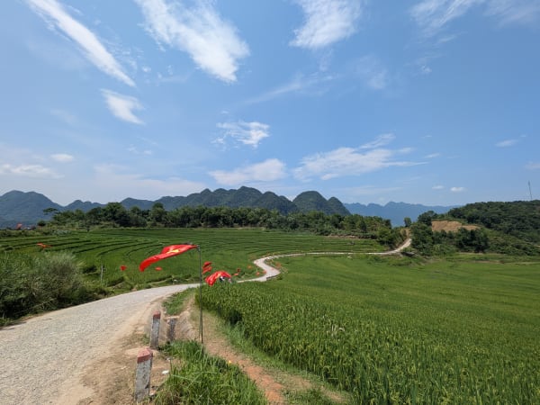 S-Shape Rice Terraces 3