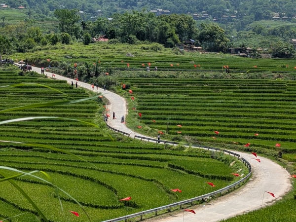 S-Shape Rice Terraces 5