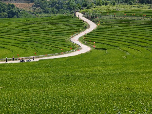 S-Shape Rice Terraces 1