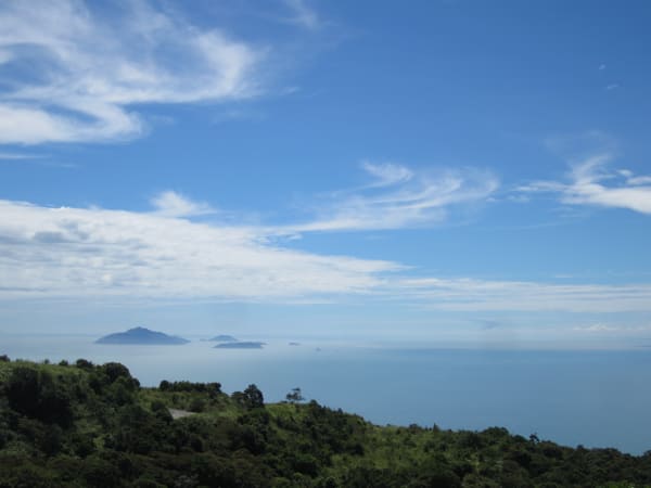 Sơn Trà Peninsula 3