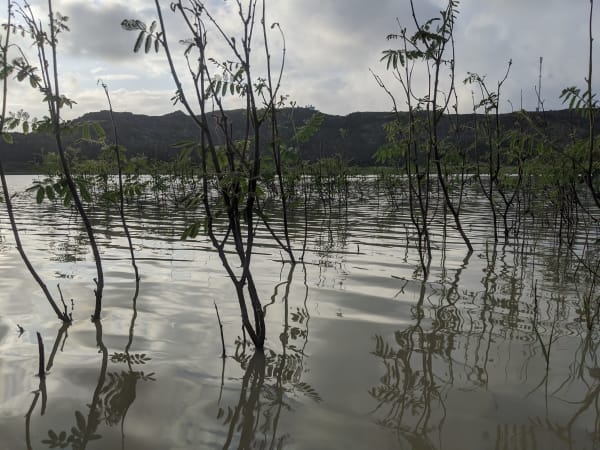 Núi Thới Lới 2