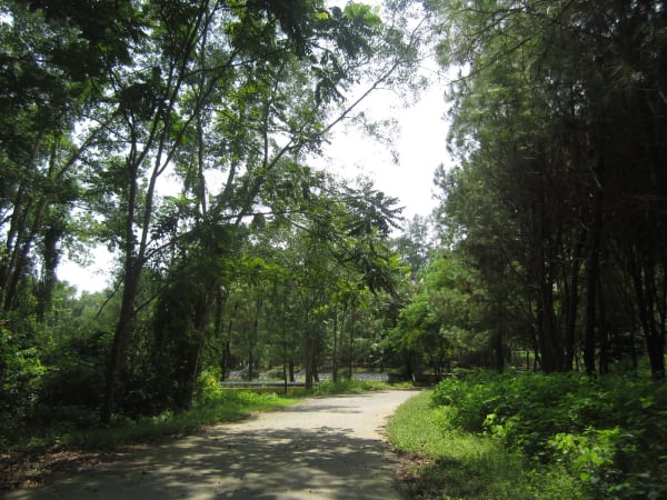 Truong Son National Cemetery 1