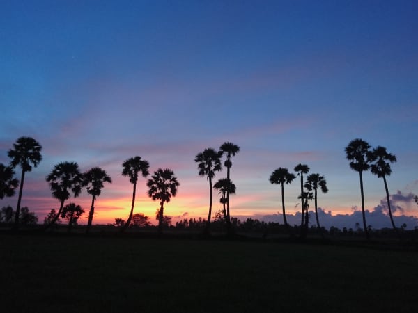 Vĩnh Trung Fields 1