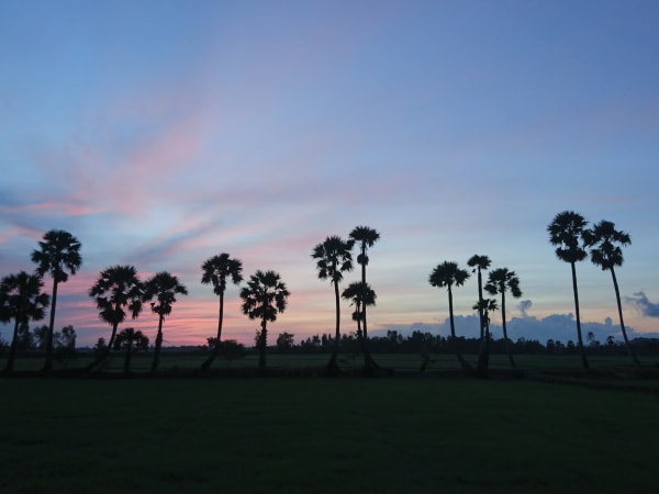 Vĩnh Trung Fields 4