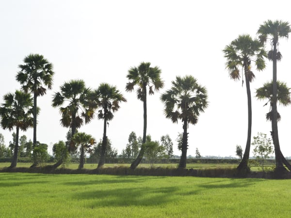 Vĩnh Trung Fields 6