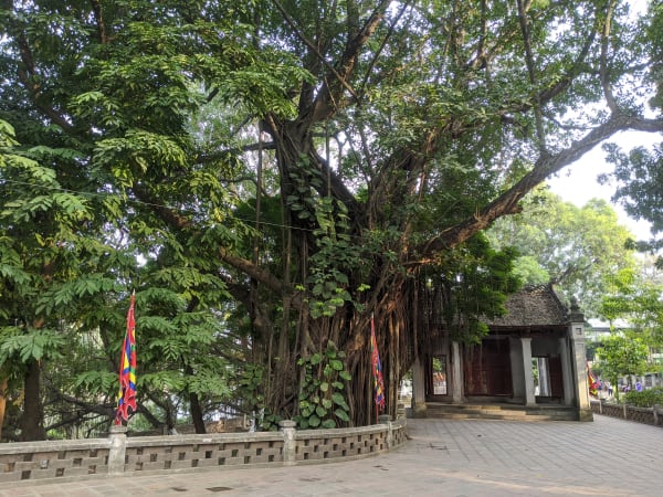 Voi Phuc Temple 4