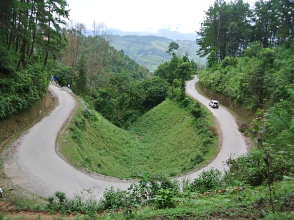 Yên Minh Pine Forest 3