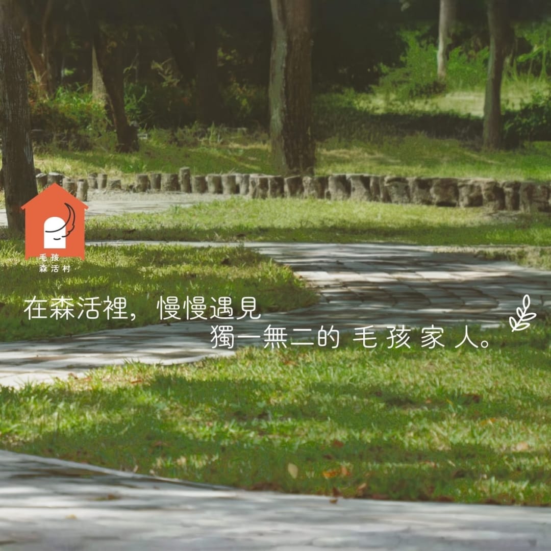 毛孩生活故事卡首頁橫幅(手機版)