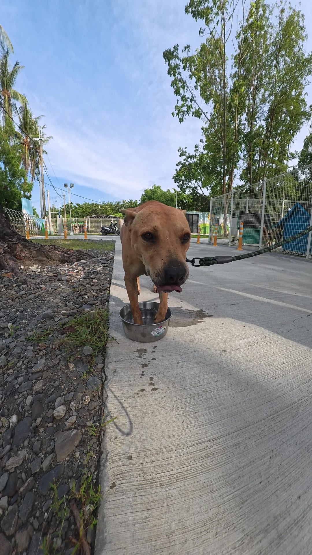 雨醇&柴茶 的照片