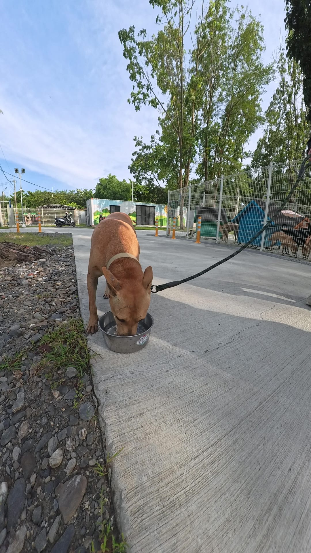 雨醇&柴茶 的照片