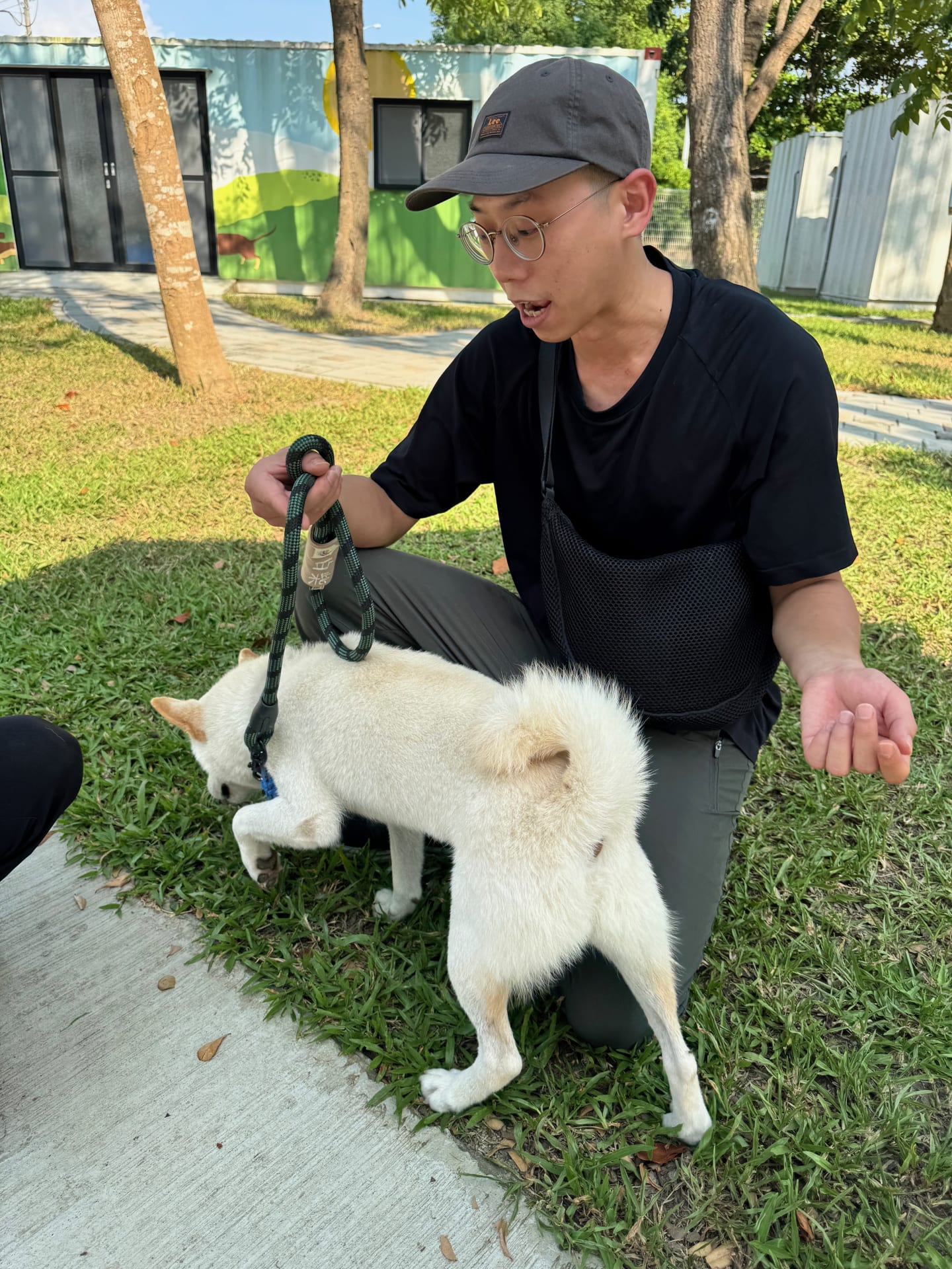 Leo 訓練師訓練帶白柴 的照片