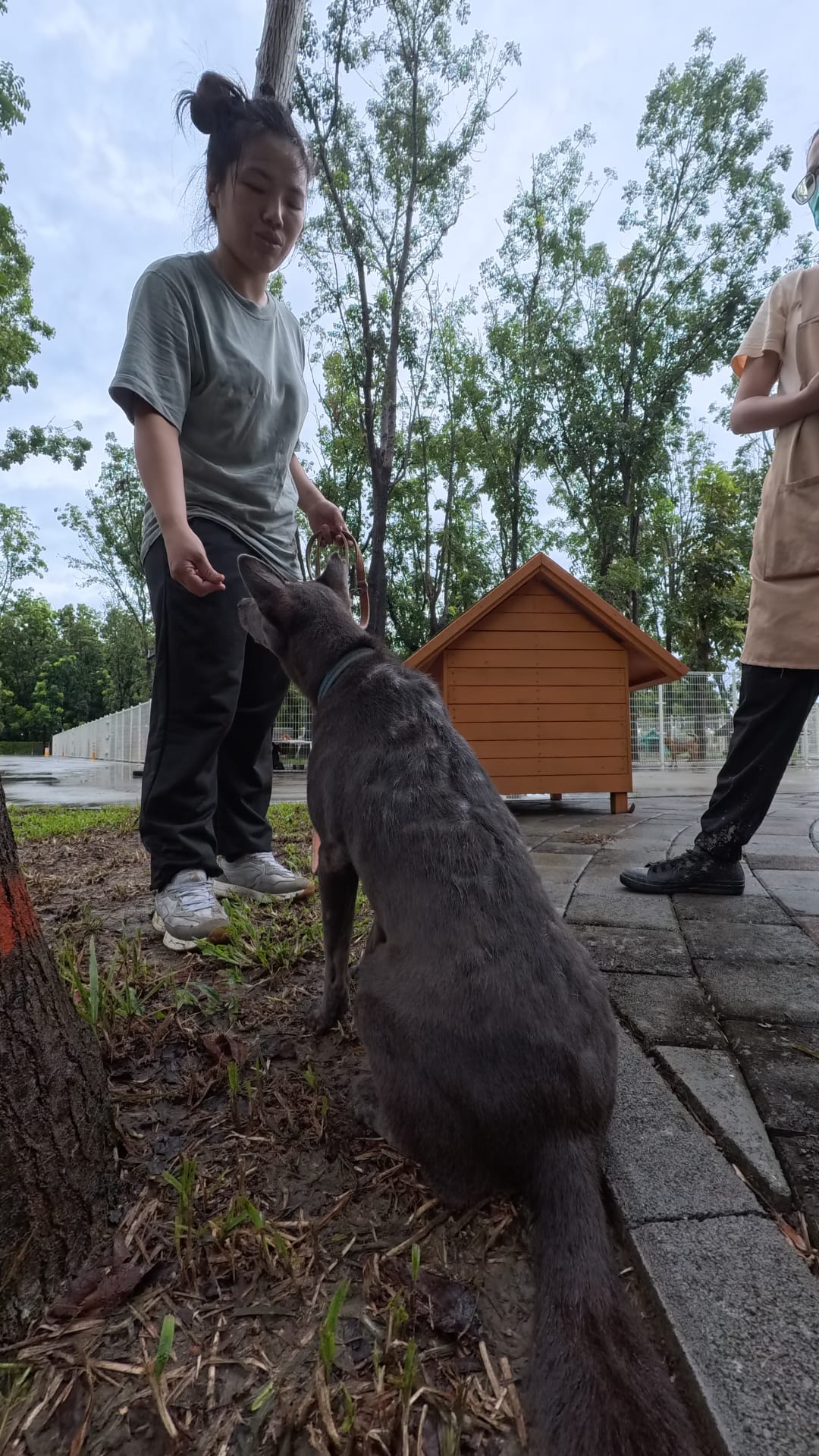 采妤訓練師的評估 的照片