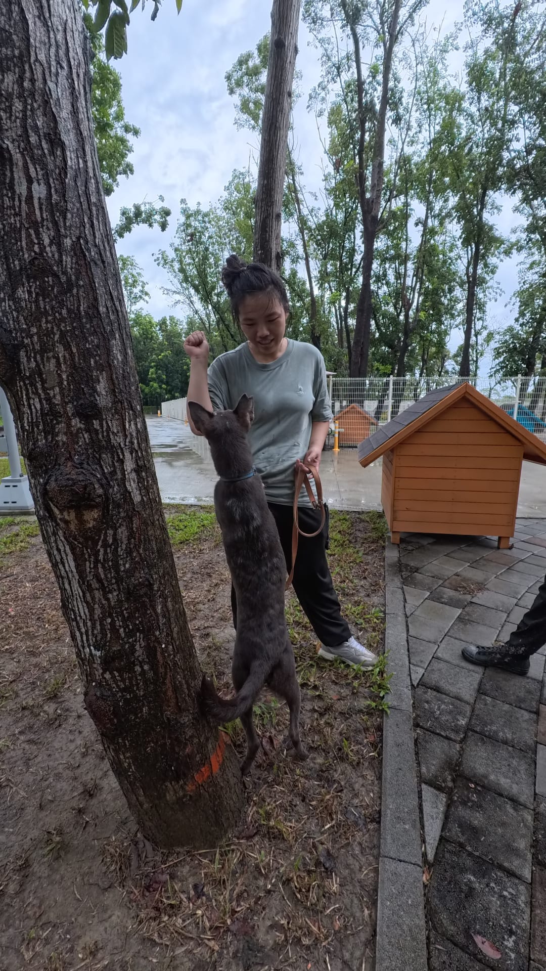 采妤訓練師的評估 的照片