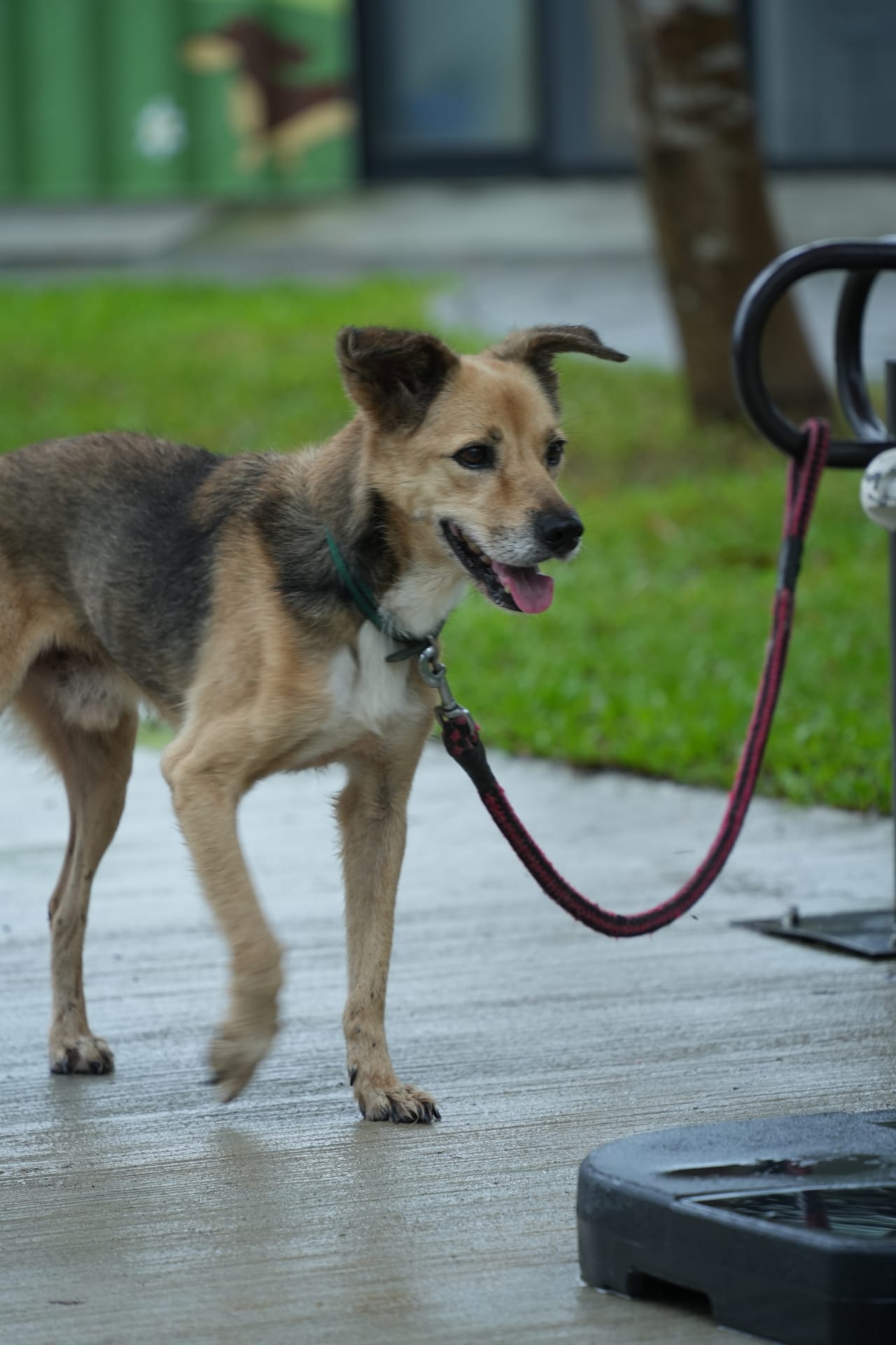 采妤訓練師筆記 的照片