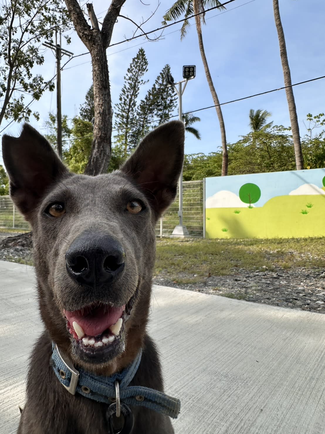 牙醫幫我檢查一下牙齒 的照片