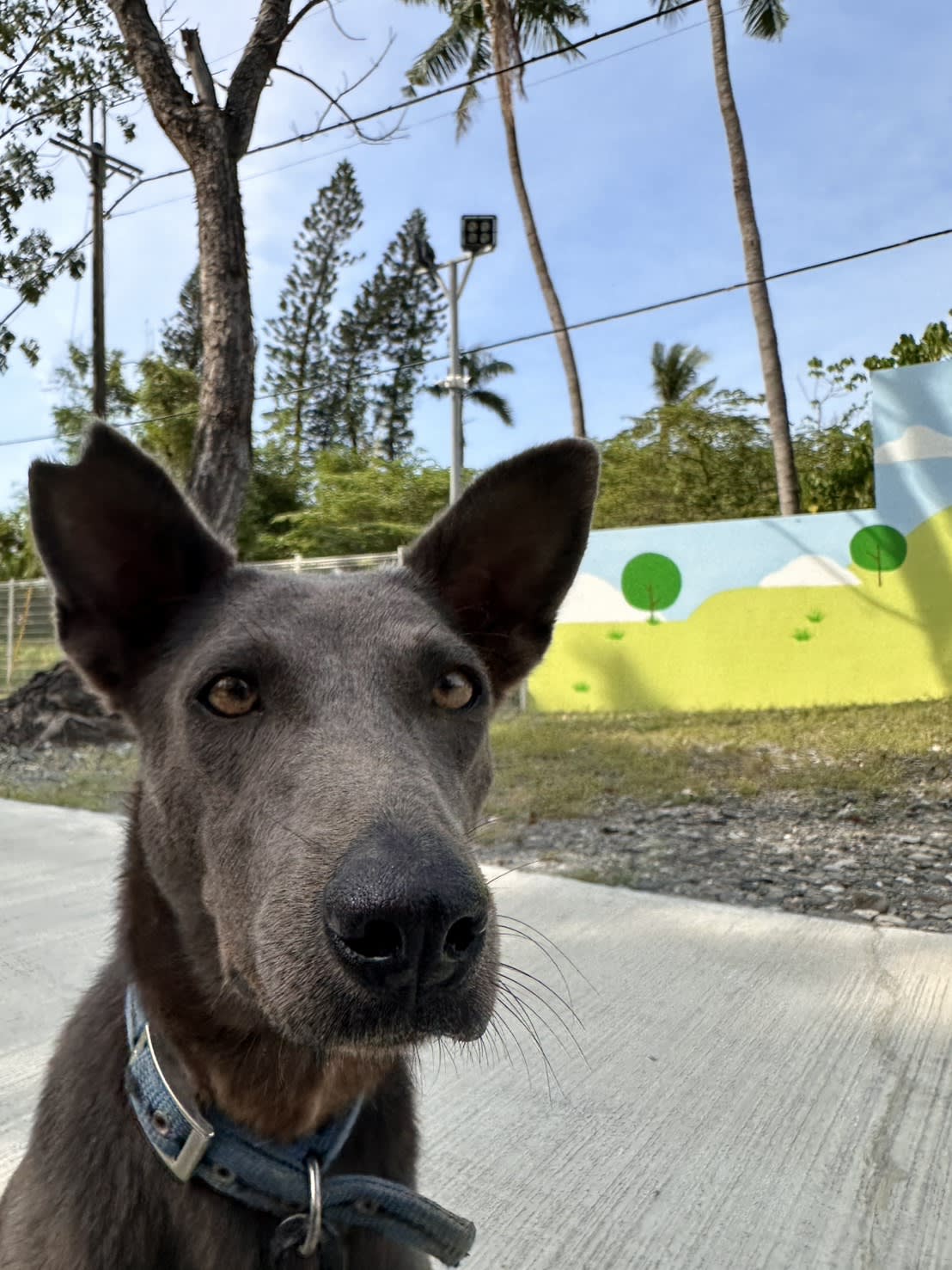 牙醫幫我檢查一下牙齒 的照片