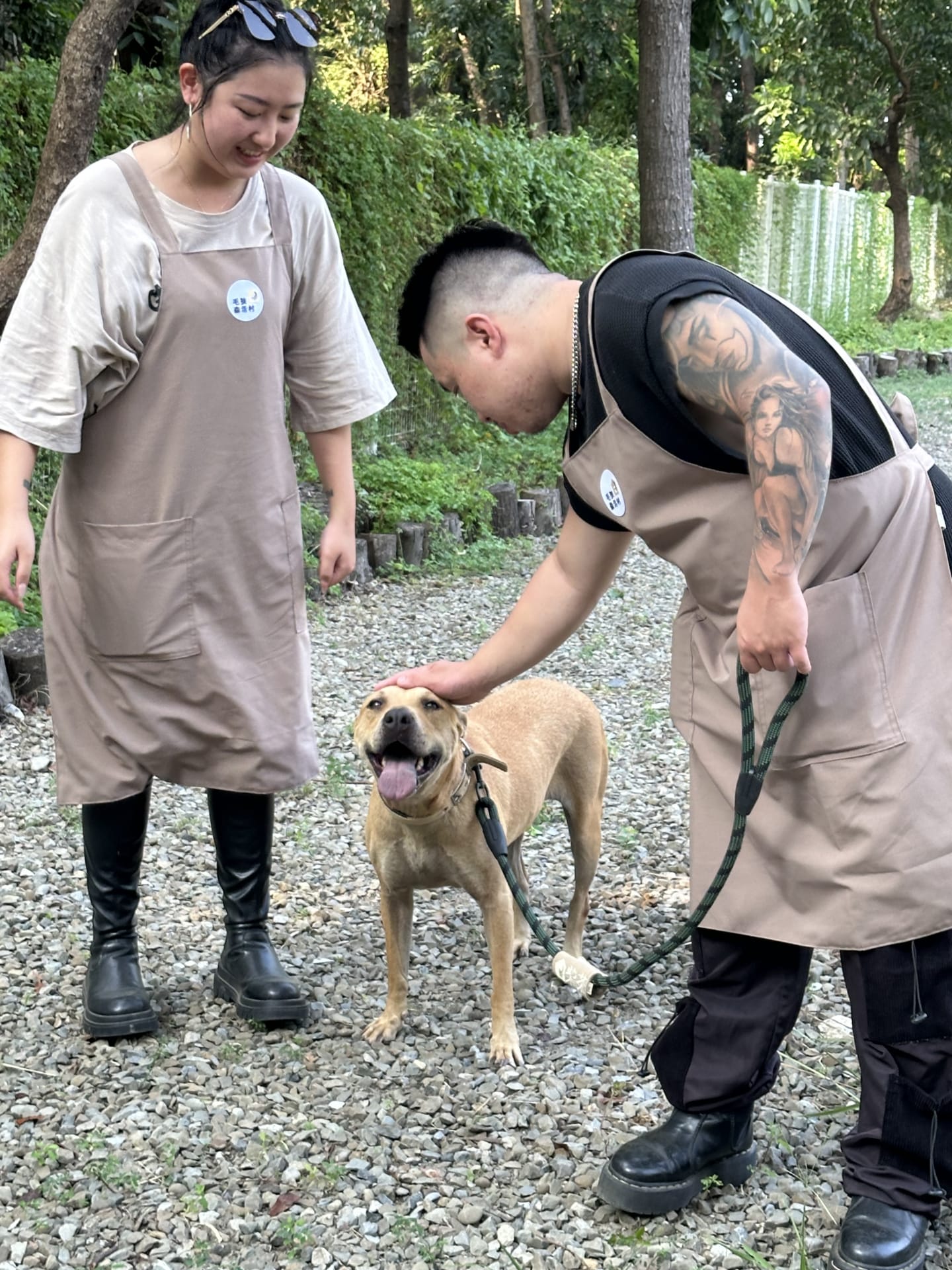 柴茶小劇場～ 的照片