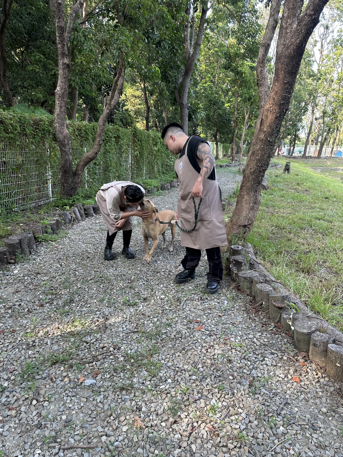 柴茶小劇場～ 的照片