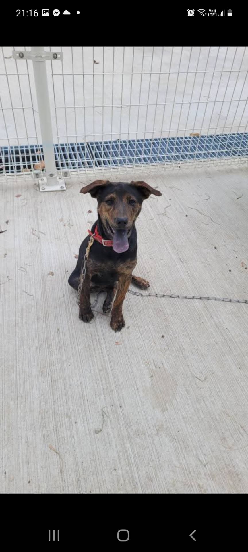 時光隧道 的照片